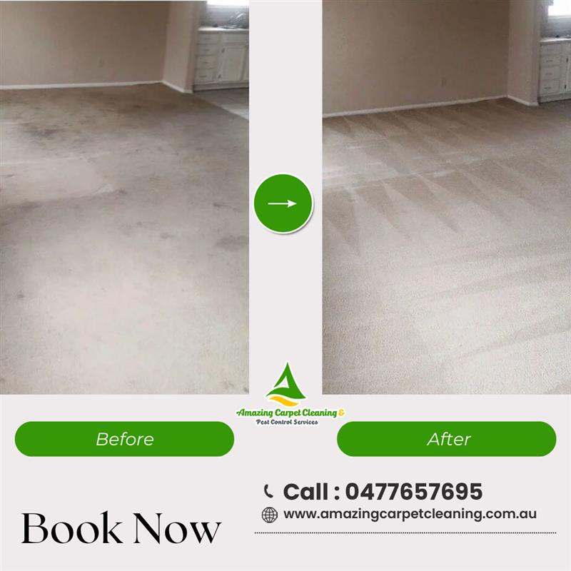 Trusted Carpet Cleaning Services in Brisbane | Before and after Amazing Cleaning