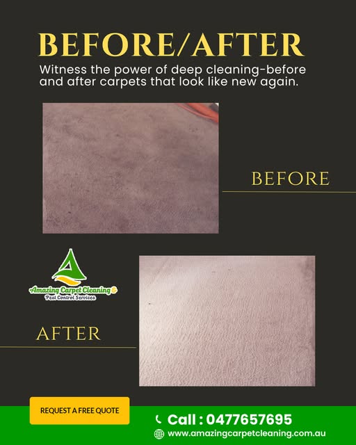 Trusted Carpet Cleaning Services in Brisbane | Before and after Amazing Cleaning