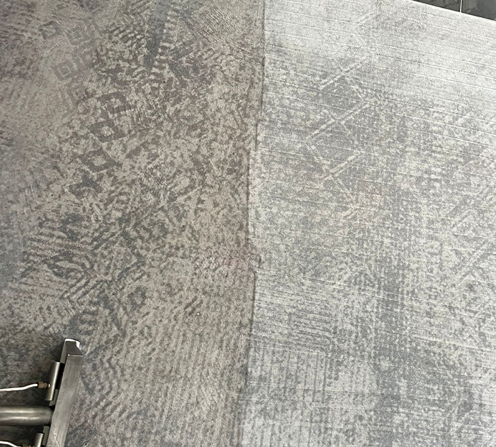 Amazing Carpet Cleaning team performing deep carpet cleaning