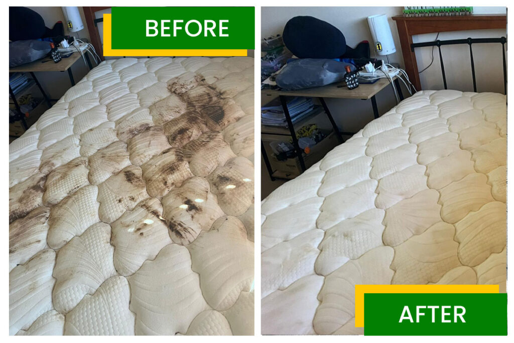 Mattress Cleaning- before and after- Amazing Carpet Cleaning