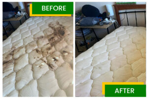 Mattress Cleaning- before and after- Amazing Carpet Cleaning