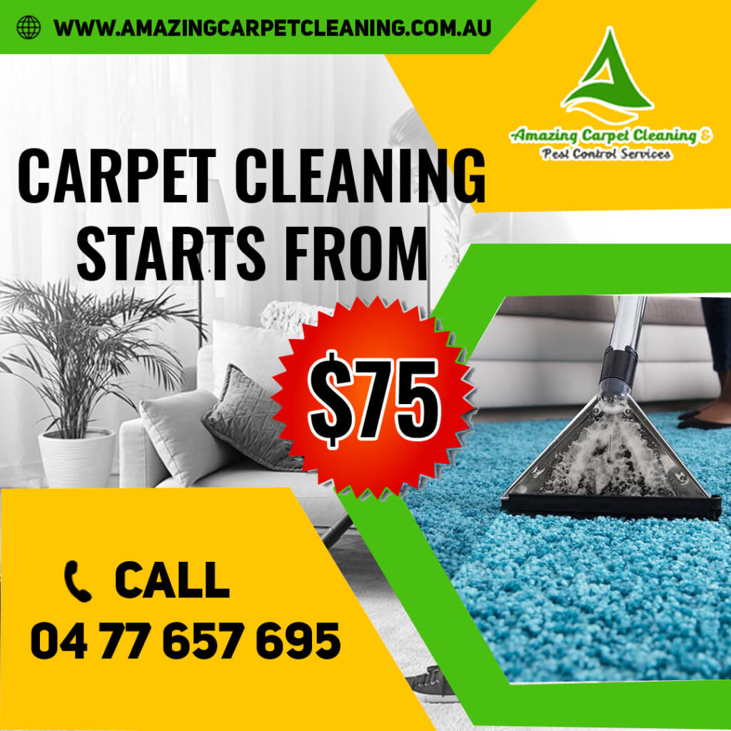 Affordable carpet cleaning starts from Amazing Carpet Cleaning Services