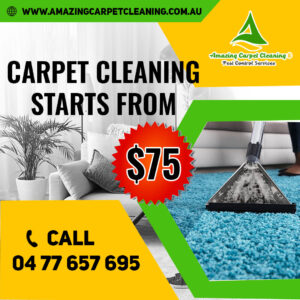 Affordable carpet cleaning starts from Amazing Carpet Cleaning Services