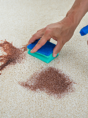 Deep carpet cleaning services in Redland Bay by Amazing Carpet