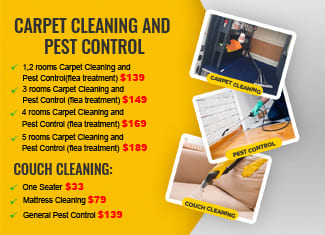 carpet cleaning and pest control -Amazing Carpet Cleaning