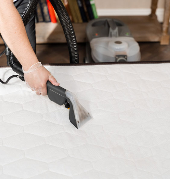 Deep Mattress Cleaning Brisbane by Amazing Carpet & Pest Control