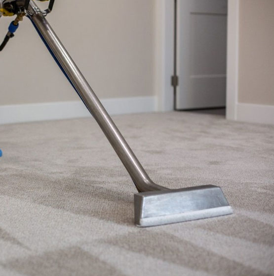 Professional Carpet Cleaning Services in Redland by Amazing Carpet Cleaning