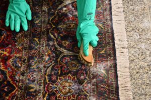 Professional Rug Cleaning Service in Brisbane – Amazing Carpet Cleaning