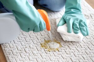 Stain & Odour Treatment Services Brisbane | Amazing Carpet Cleaning