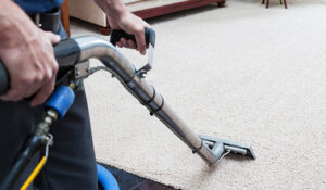 Carpet Cleaning in Logan-Amazing Carpet Cleaning