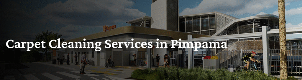 Professional carpet cleaning services in Pimpama