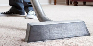 Amazing Carpet Cleaning & Pest Control – Expert Cleaning Team-Amazing Carpet Cleaning
