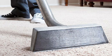 Amazing Carpet Cleaning & Pest Control – Expert Cleaning Team-Amazing Carpet Cleaning