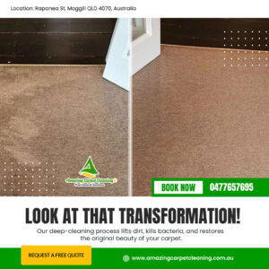 Look at that transformation with Amazing Carpet Cleaning Services
