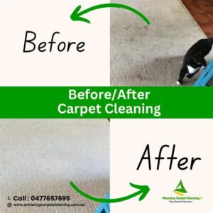 Best carpet cleaning services in North Brisbane