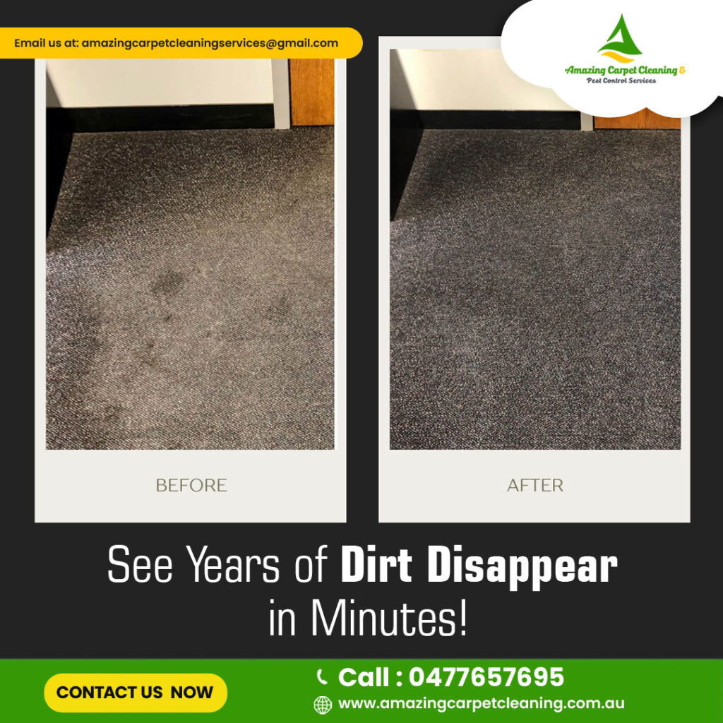 carpet cleaning services in Brisbane