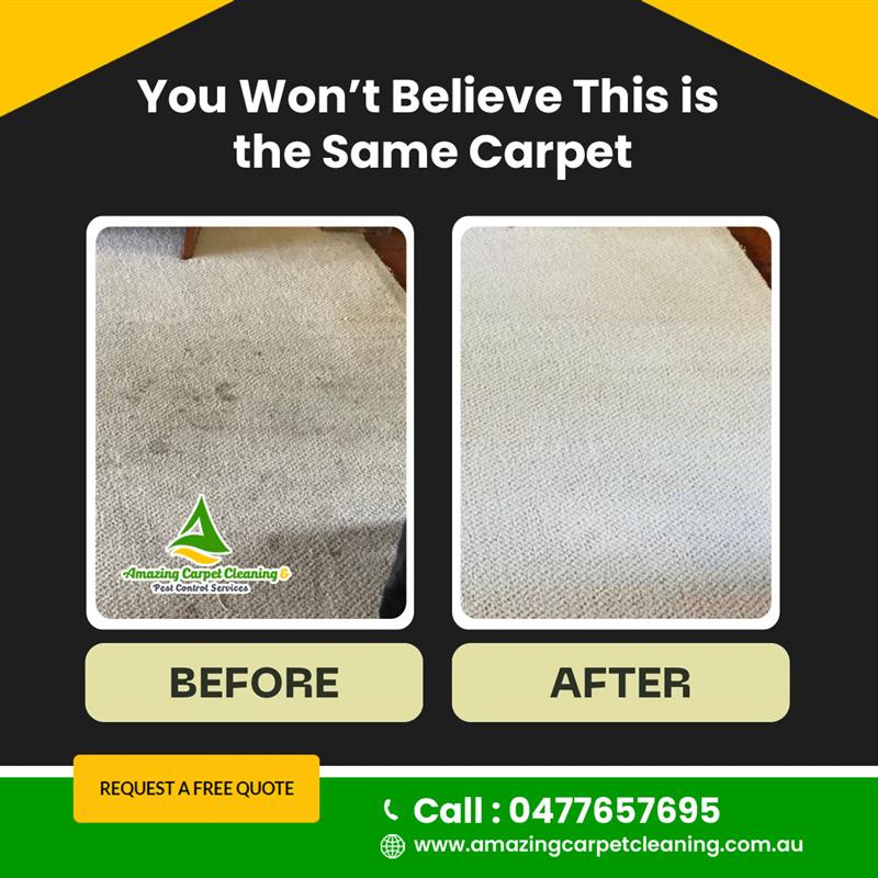 Our professional cleaners bring back the color