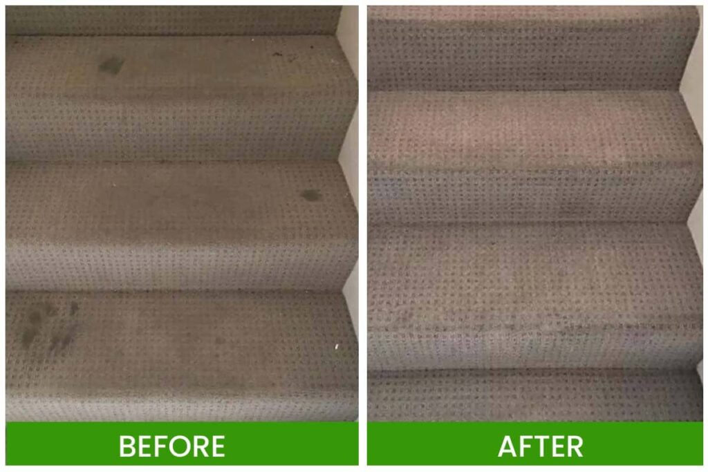 carpet cleaning in Northside