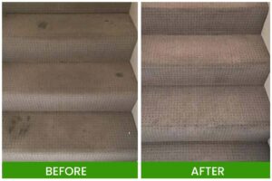 carpet cleaning in Northside