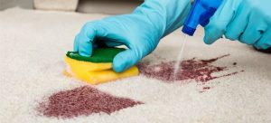our carpet cleaning in North Brisbane