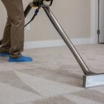 professional Carpet Cleaning option in North Brisbane