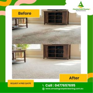 seasonal carpet cleaning in North Brisbane