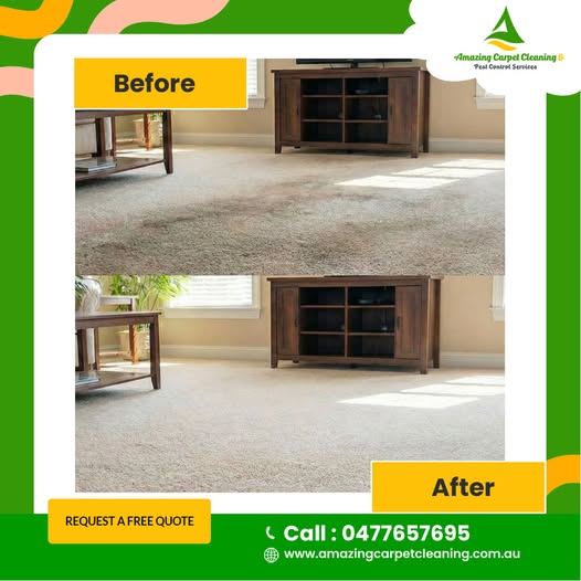seasonal carpet cleaning in North Brisbane