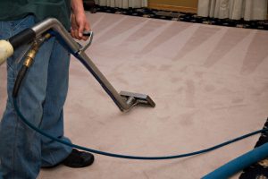 Professional carpet cleaning services Ipswich