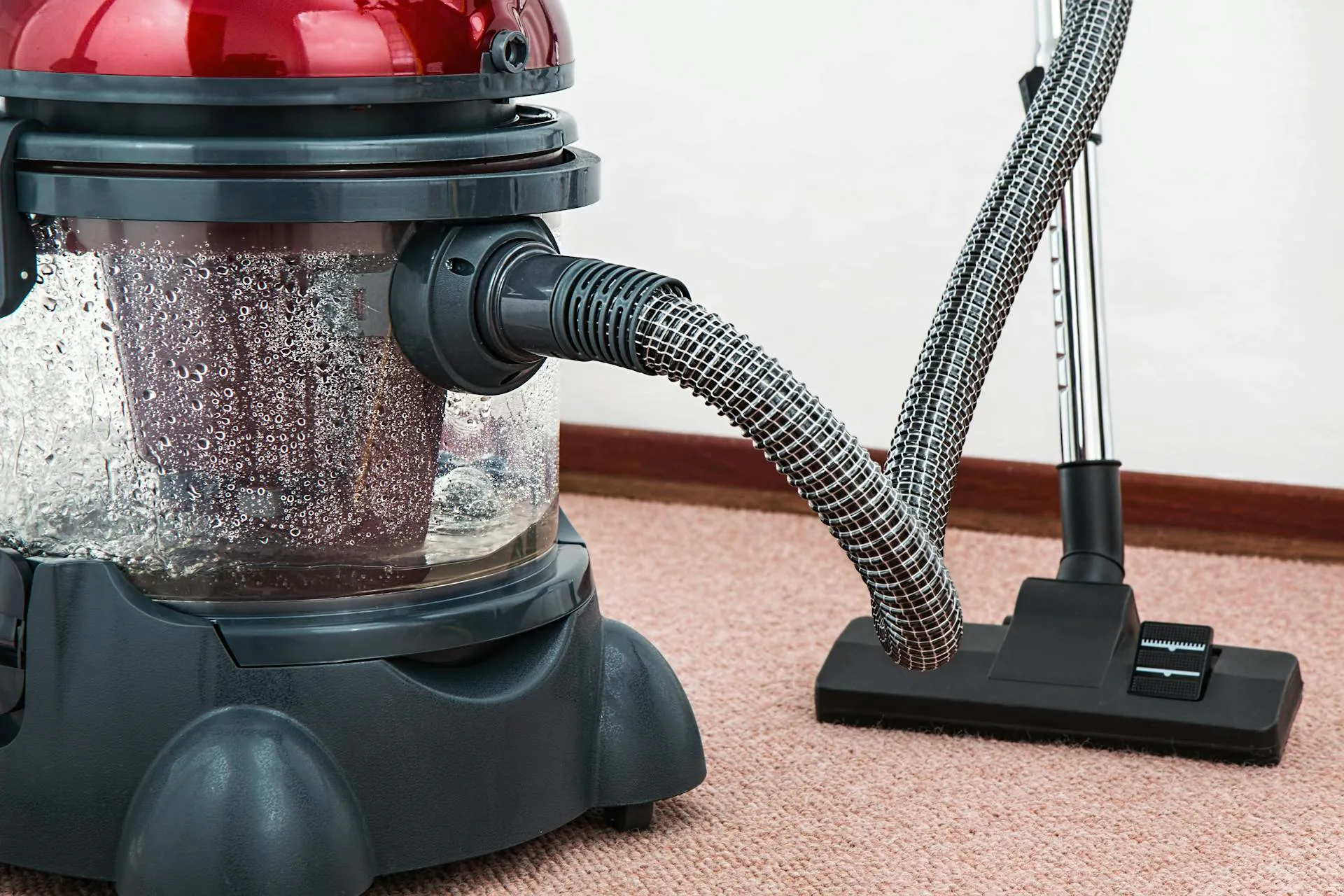 https://www.amazingcarpetcleaning.com.au/wp-content/uploads/2026/03/pexels-pixabay-38325_processed.webp