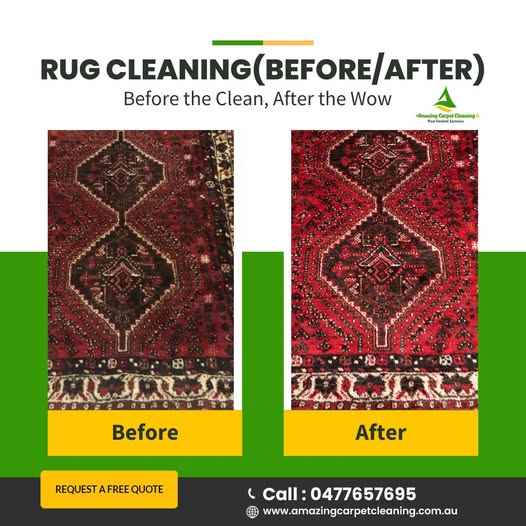 Carpet cleaning service in North Brisbane