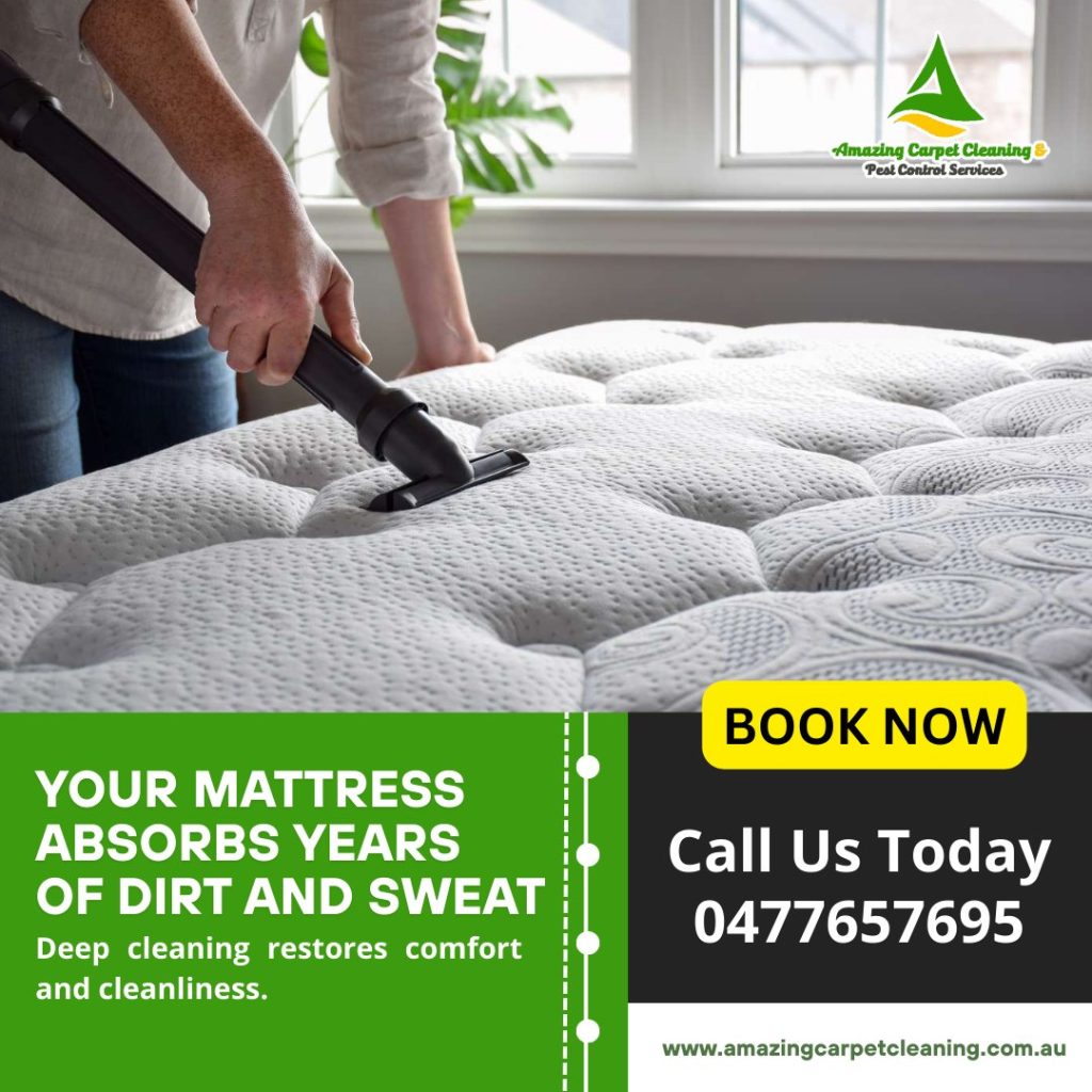 Restore comfort and cleanliness