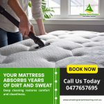 Restore comfort and cleanliness