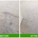 Carpet cleaning services in Logan