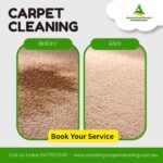 Carpet cleaning service in North Brisbane