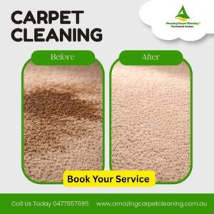 Carpet cleaning service in North Brisbane