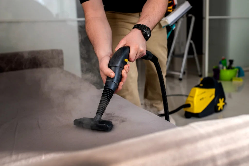 Professional Carpet Cleaning Advantages