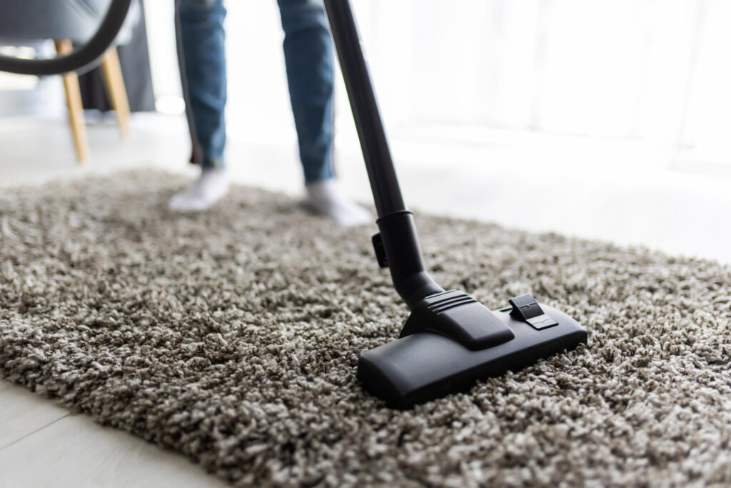 Carpet cleaning Experts in Ipswich