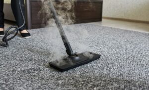 Local carpet cleaner in Moreton Bay
