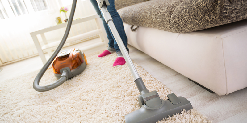 Pimpama Bay Carpet Cleaning Professionals